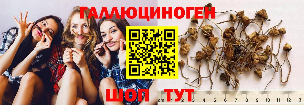 ГАШИШ  Вход с VPN  Кокаин  Каннабис  Узловая  Меф МЯУ МЯУ   ГАШИШ 