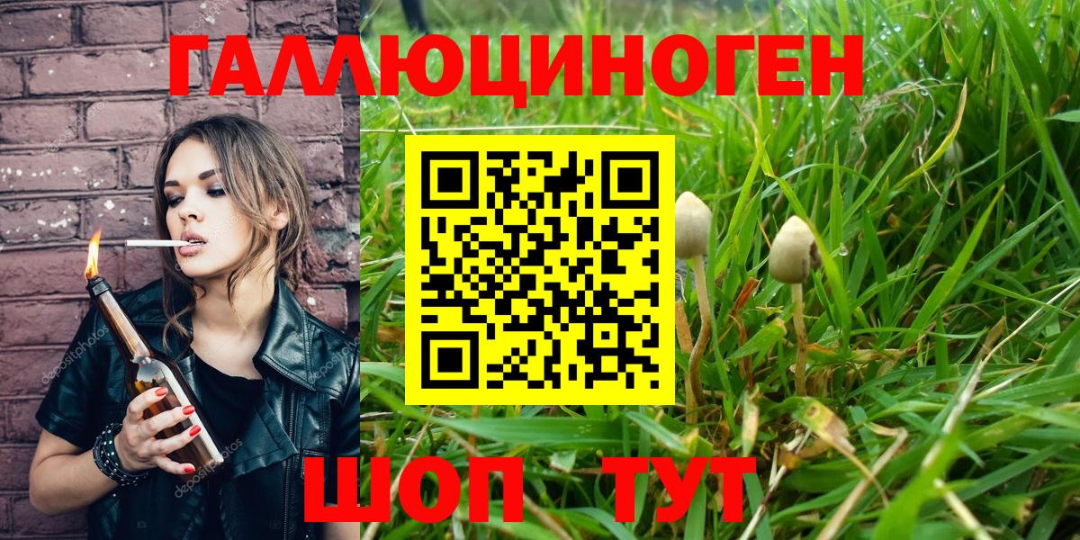 Узловая  Псилоцибиновые грибы Magic Shrooms  Вход с VPN 